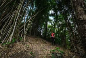 BIB: 
                            <button type="button" onclick="openModal(19395745)" class="btn btn-primary btn-sm float-right btn-popup" data-toggle="modal" data-target=".modal-high-quality">
                        <i class="fas fa-shopping-cart"></i> Add to Cart
                    </button>
                                            <button type="button" onclick="isThisMe(19395745, true)" class="btn btn-success btn-sm float-right btn-popup btn-isme hidden" data-toggle="tooltip" data-placement="bottom" title="นี่คือรูปของคุณใช่ไหม คลิกที่นี่เพื่อเอาเข้าอัลบั้ม">
                        <i class="fas fa-plus"></i> Add to album
                    </button>
                    <button type="button" onclick="isThisMe(19395745, false)" class="btn btn-warning btn-sm float-right btn-popup btn-isnotme hidden">
                        <i class="fas fa-ban"></i> Remove from album
                    </button>